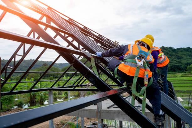 Roof Gutter Cleaning in Meridian Hills, IN